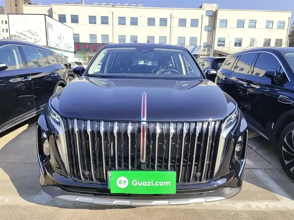 Hongqi HS7 PHEV 2024 из CN, фото 10
