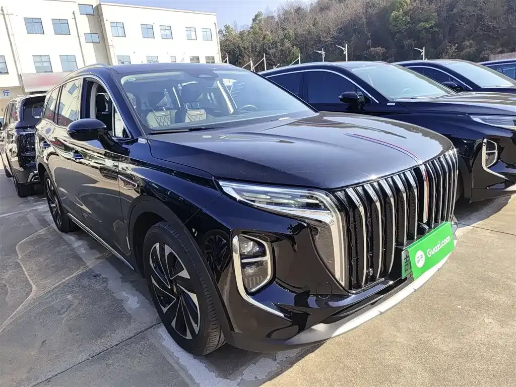 Hongqi HS7 PHEV 2024 из CN, фото 9