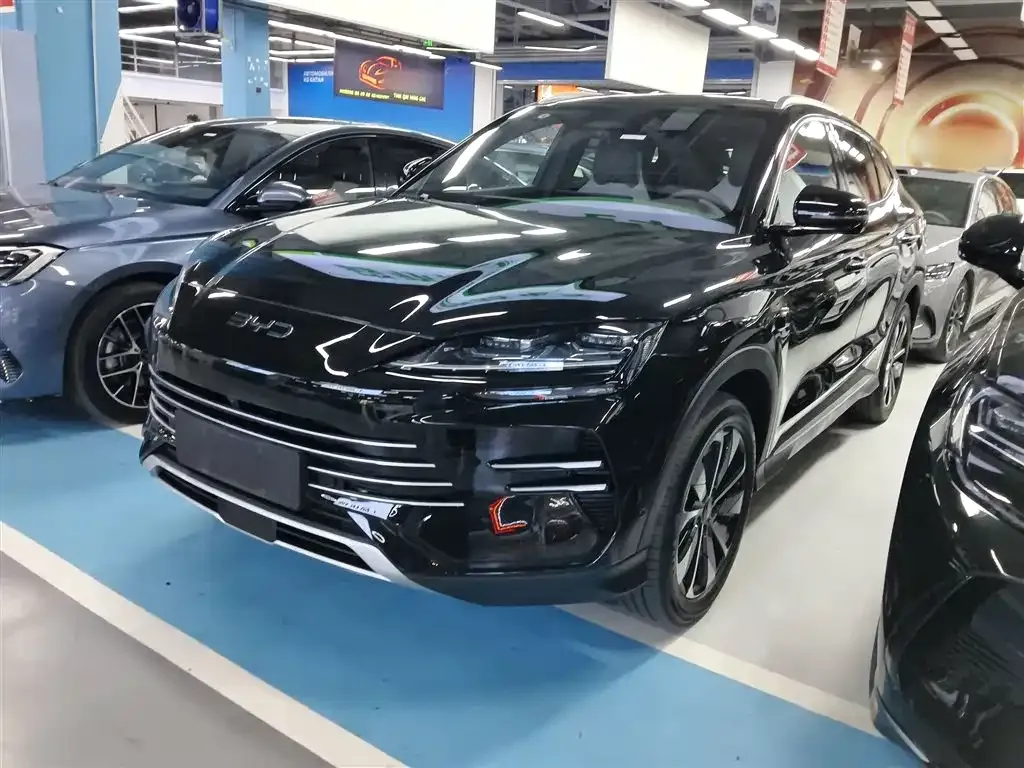 BYD PLUS New Energy — фото 3