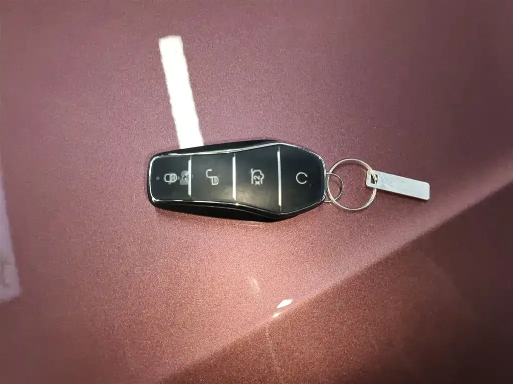 BYD PLUS New Energy — фото 4