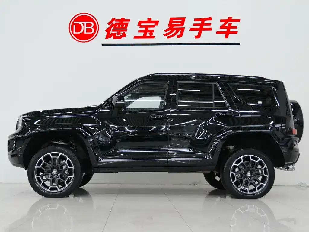Tank 700 New Energy 2024 из CN, фото 4