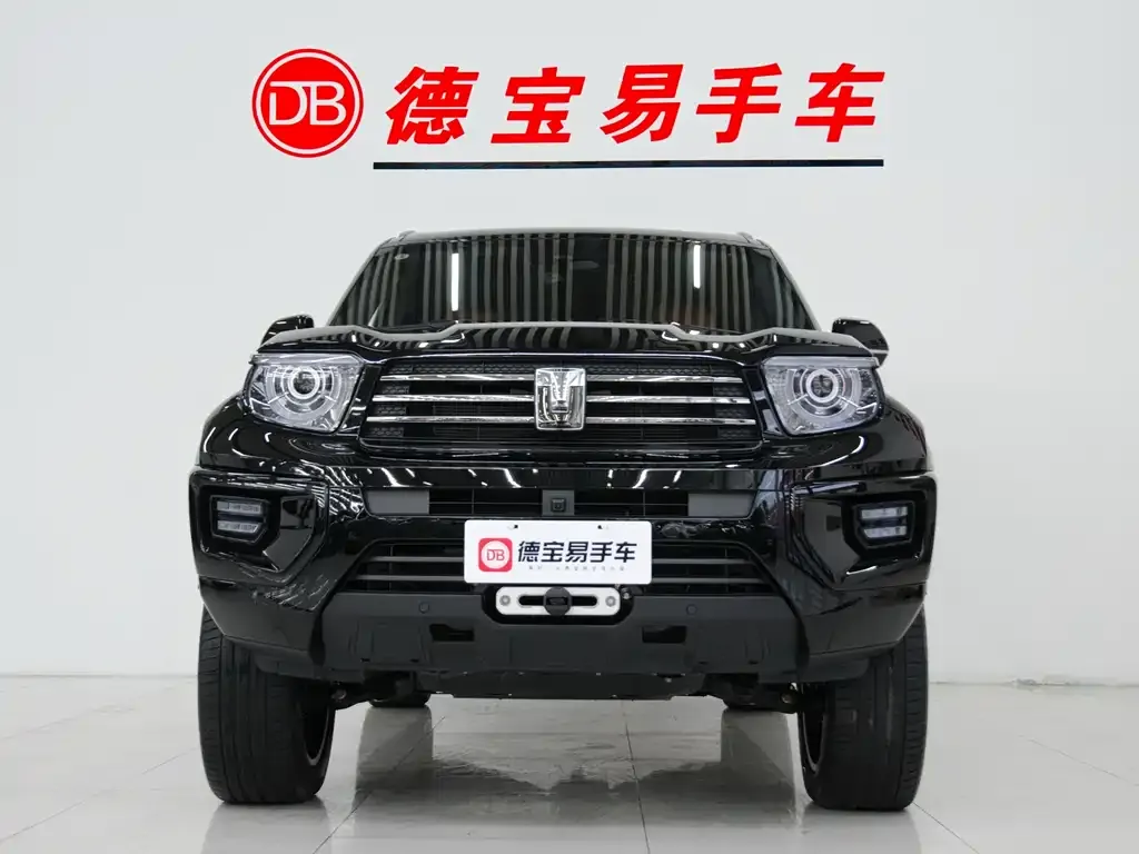 Tank 700 New Energy 2024 из CN, фото 6