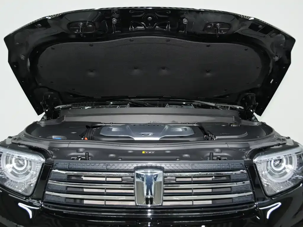 Tank 700 New Energy 2024 из CN, фото 5