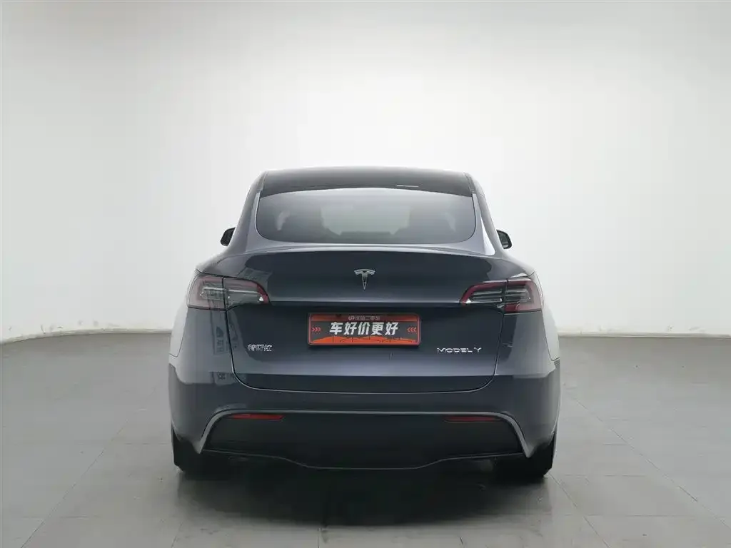 Tesla Model Y — фото 2
