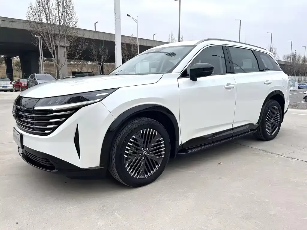 Nissan Teramont 2024 из CN, фото 1