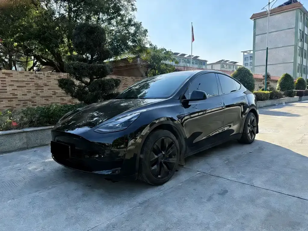 Tesla Model Y 2024 из CN, фото 1