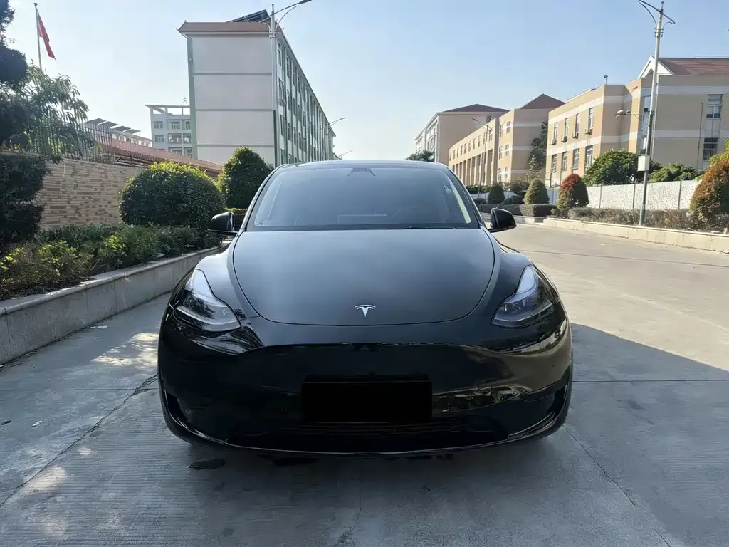 Tesla Model Y 2024 из CN, фото 4