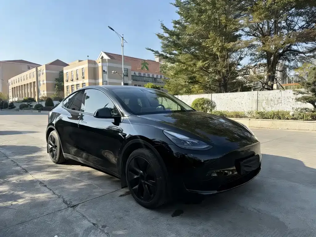 Tesla Model Y 2024 из CN, фото 2