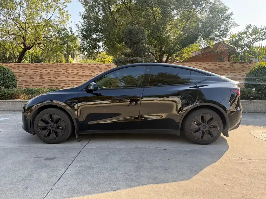Tesla Model Y 2024 из CN, фото 3