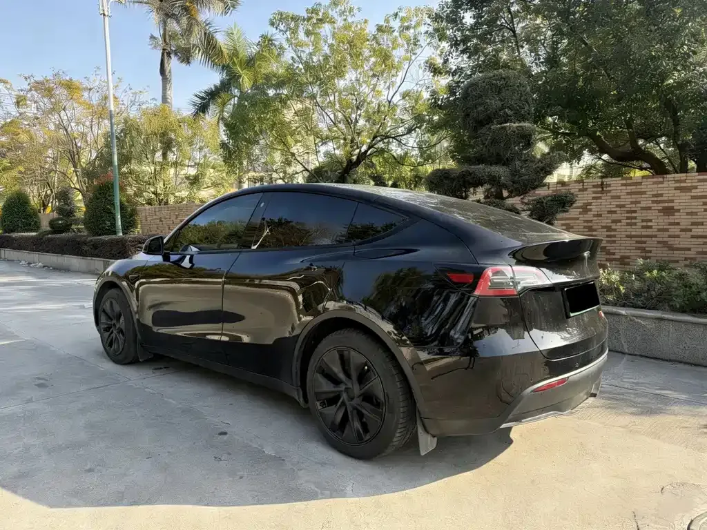 Tesla Model Y 2024 из CN, фото 7