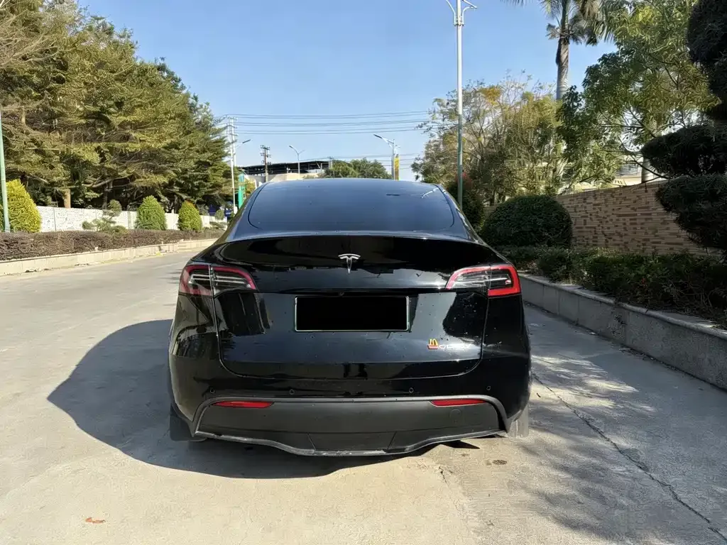 Tesla Model Y 2024 из CN, фото 8
