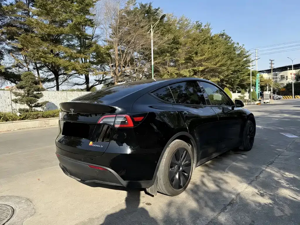 Tesla Model Y 2024 из CN, фото 10