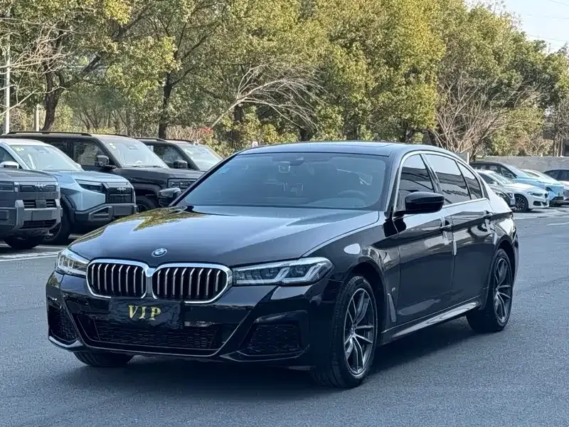 BMW 5 Series 2021 из CN, фото 1
