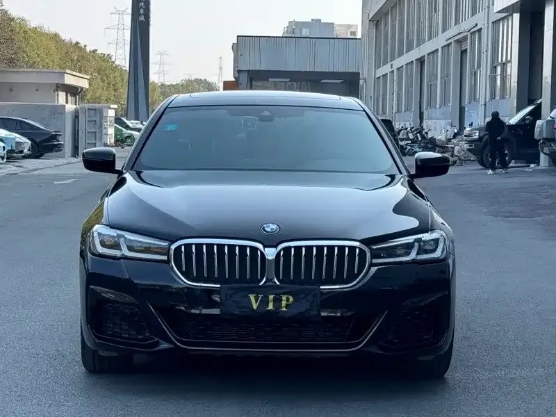 BMW 5 Series 2021 из CN, фото 5