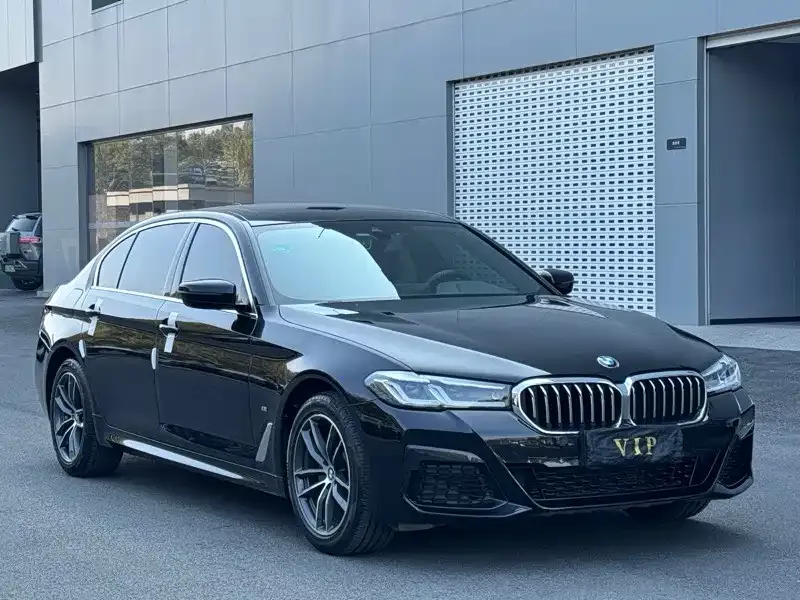 BMW 5 Series 2021 из CN, фото 6