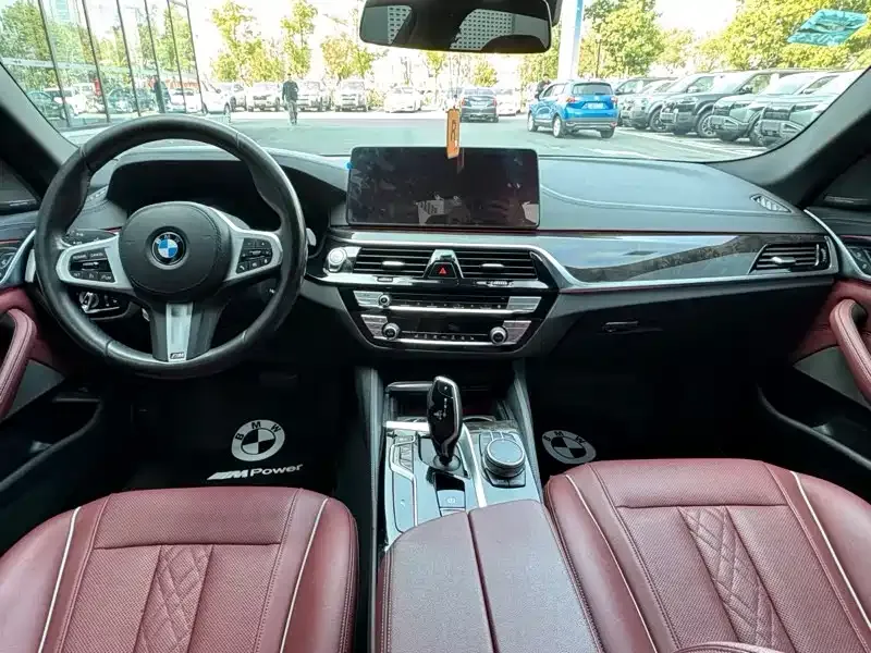 BMW 5 Series 2021 из CN, фото 10