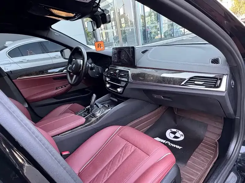 BMW 5 Series 2021 из CN, фото 8