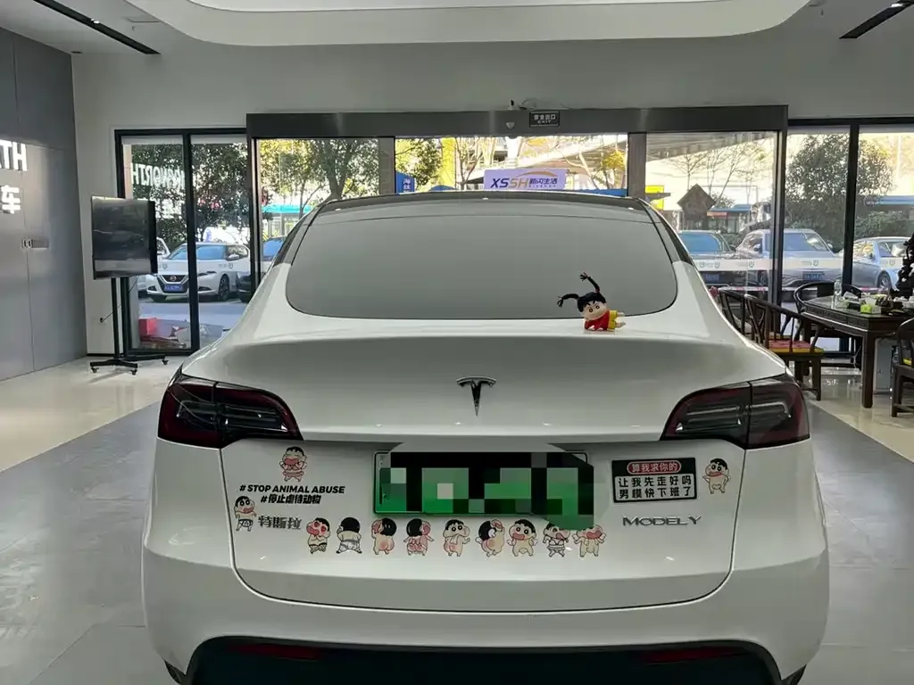 Tesla Model Y 2025 из CN, фото 4