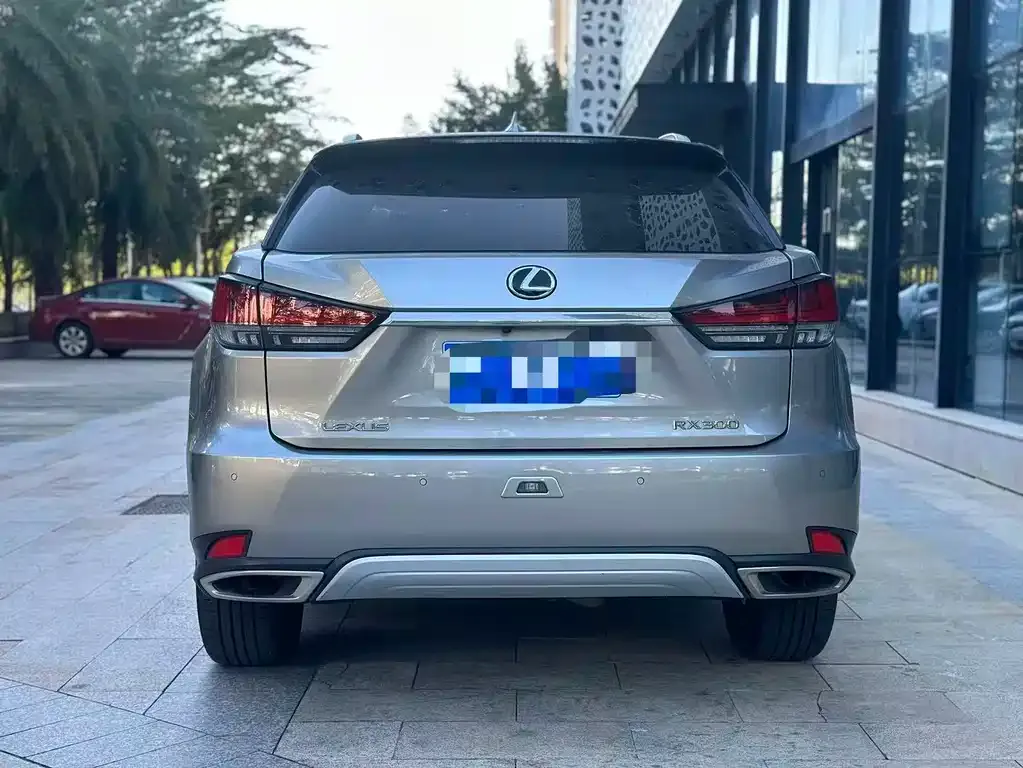 Lexus RX 2021 из CN, фото 5