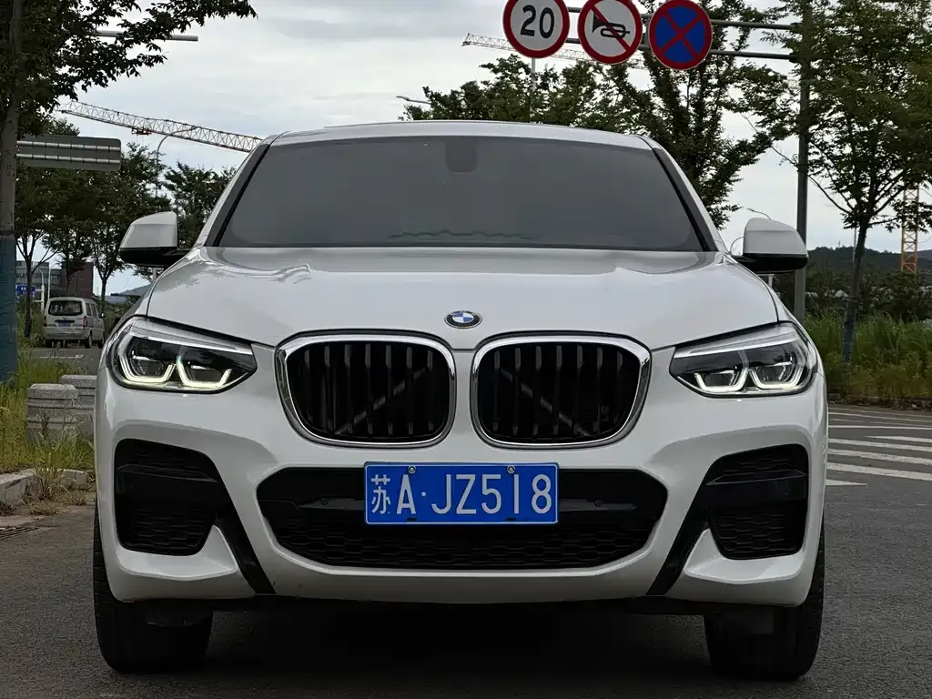 BMW X4 2021 из CN, фото 6
