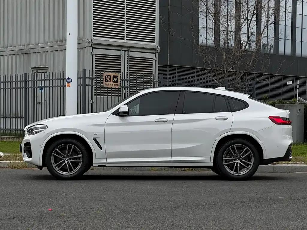 BMW X4 2021 из CN, фото 4