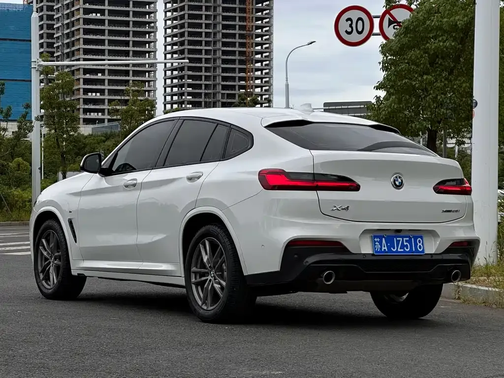BMW X4 2021 из CN, фото 9