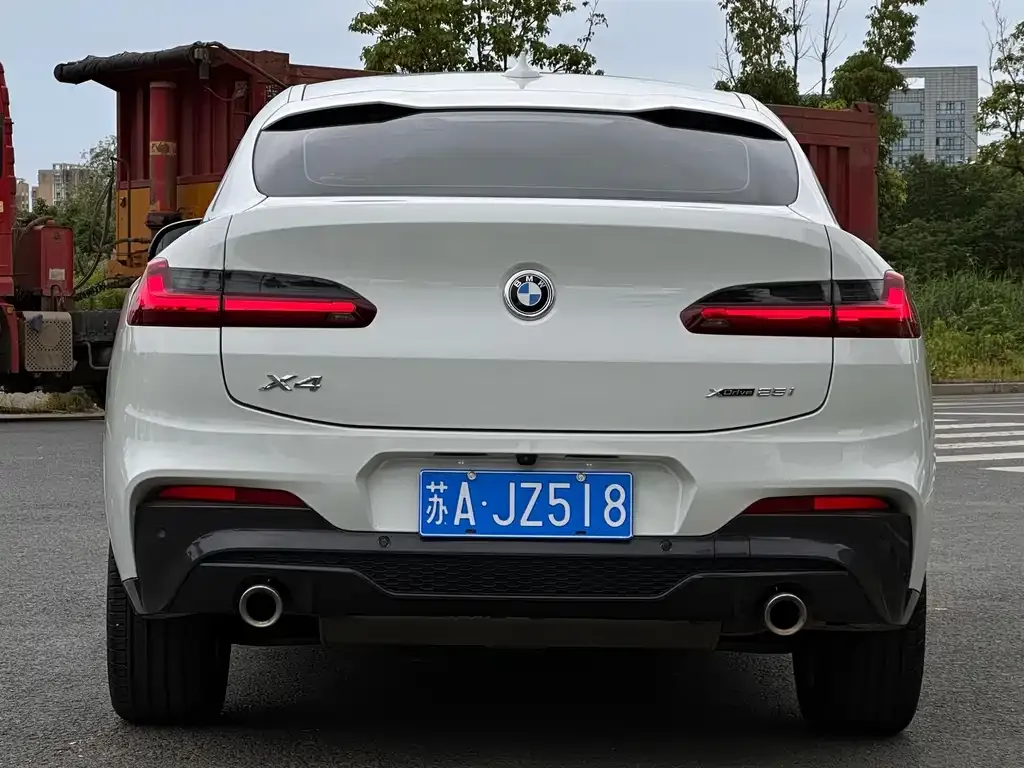 BMW X4 2021 из CN, фото 3