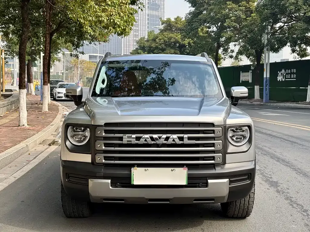 Haval Menglong New Energy — фото 10