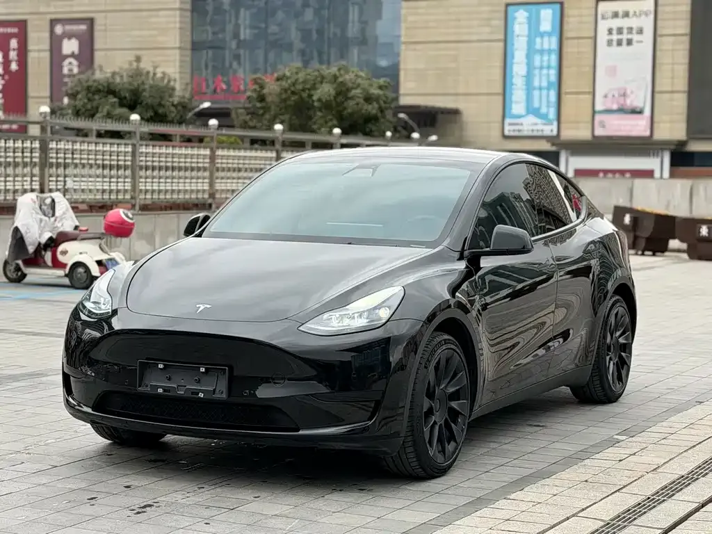 Tesla Model Y — фото 1