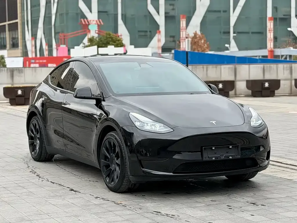 Tesla Model Y — фото 8