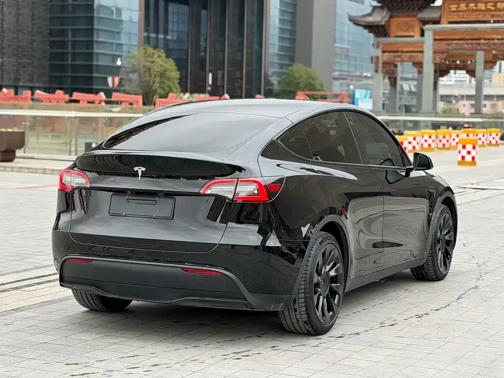 Tesla Model Y — фото 5