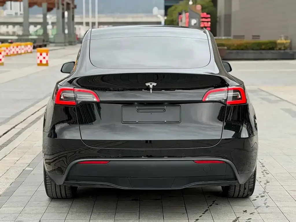 Tesla Model Y — фото 4