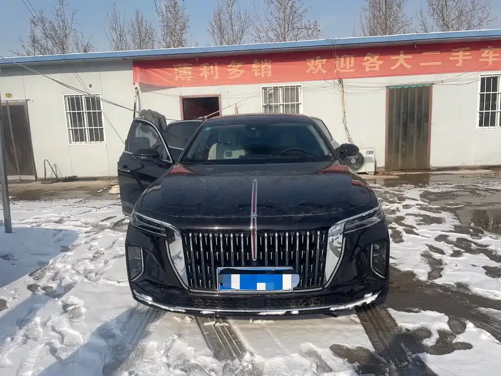 Hongqi H9 2025 из CN, фото 8