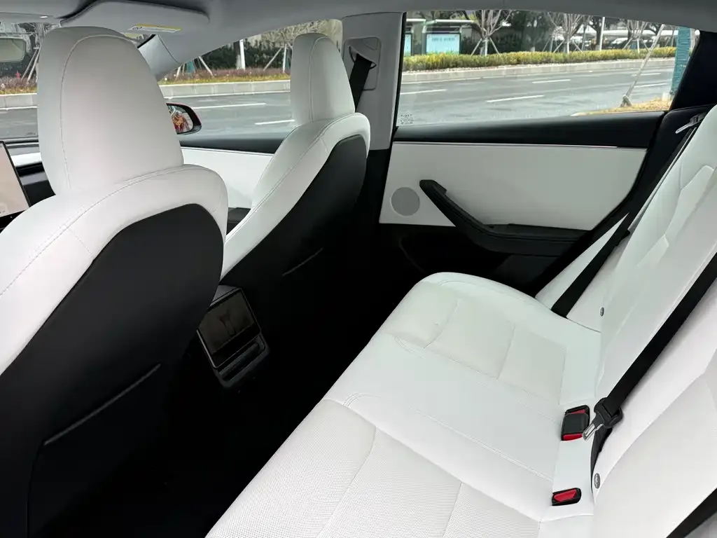 Tesla Model 3 2023 из CN, фото 2