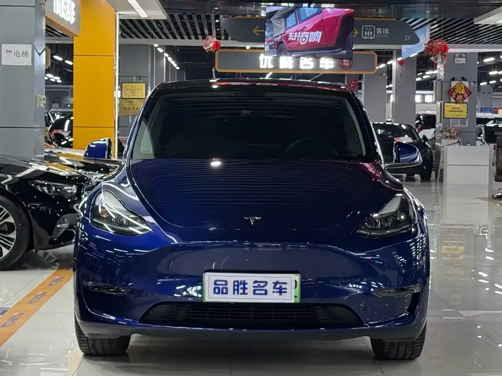 Tesla Model Y — фото 10