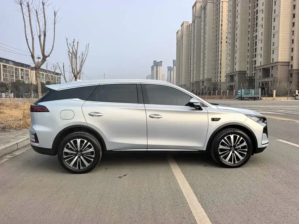 BYD Tang New Energy — фото 8