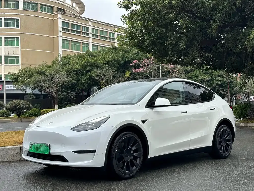 Tesla Model Y — фото 1