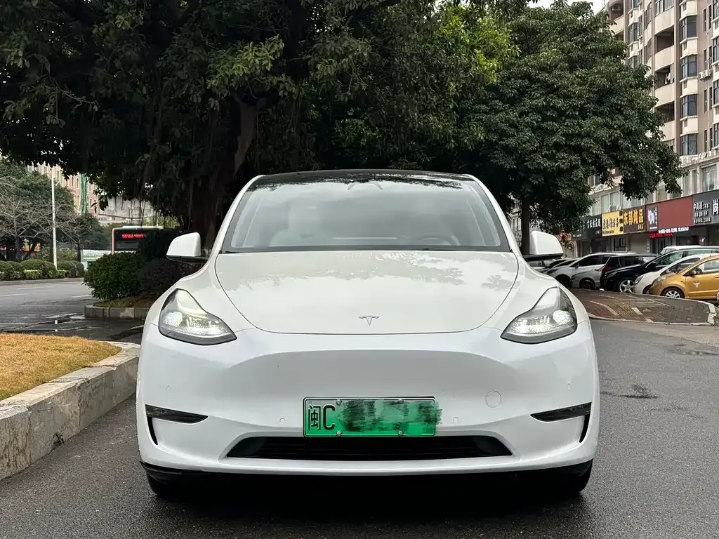 Tesla Model Y — фото 5