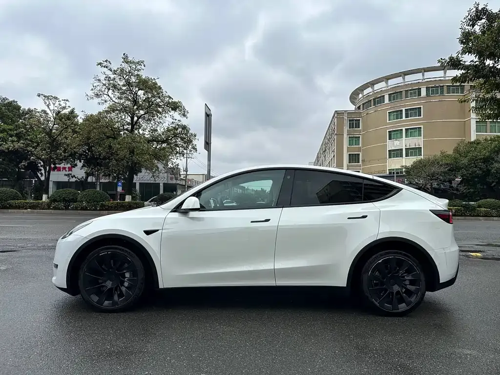 Tesla Model Y — фото 6