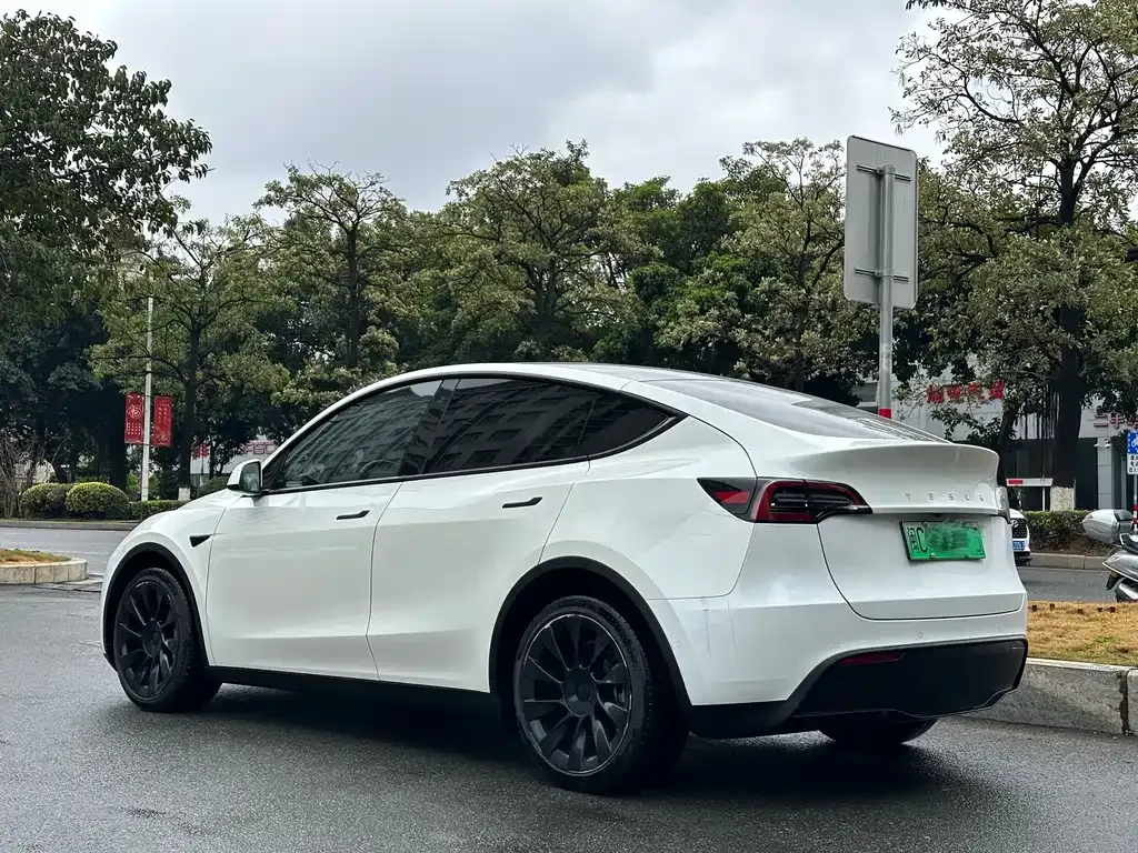 Tesla Model Y — фото 7