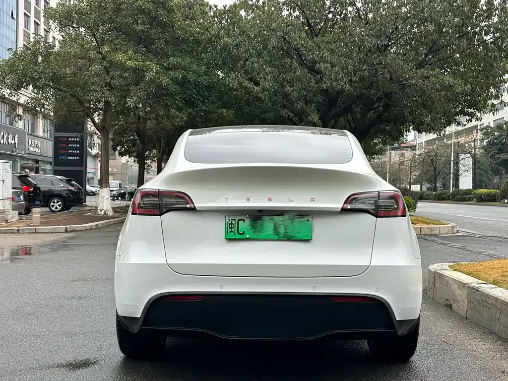 Tesla Model Y — фото 8