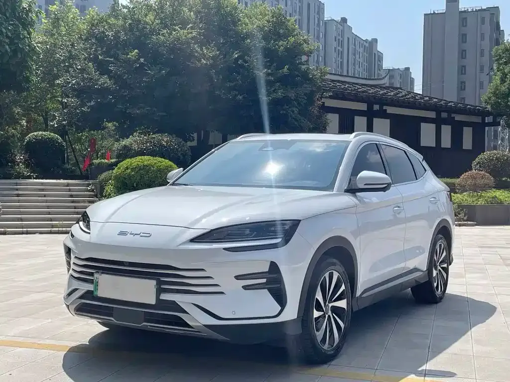 BYD PLUS New Energy — фото 1