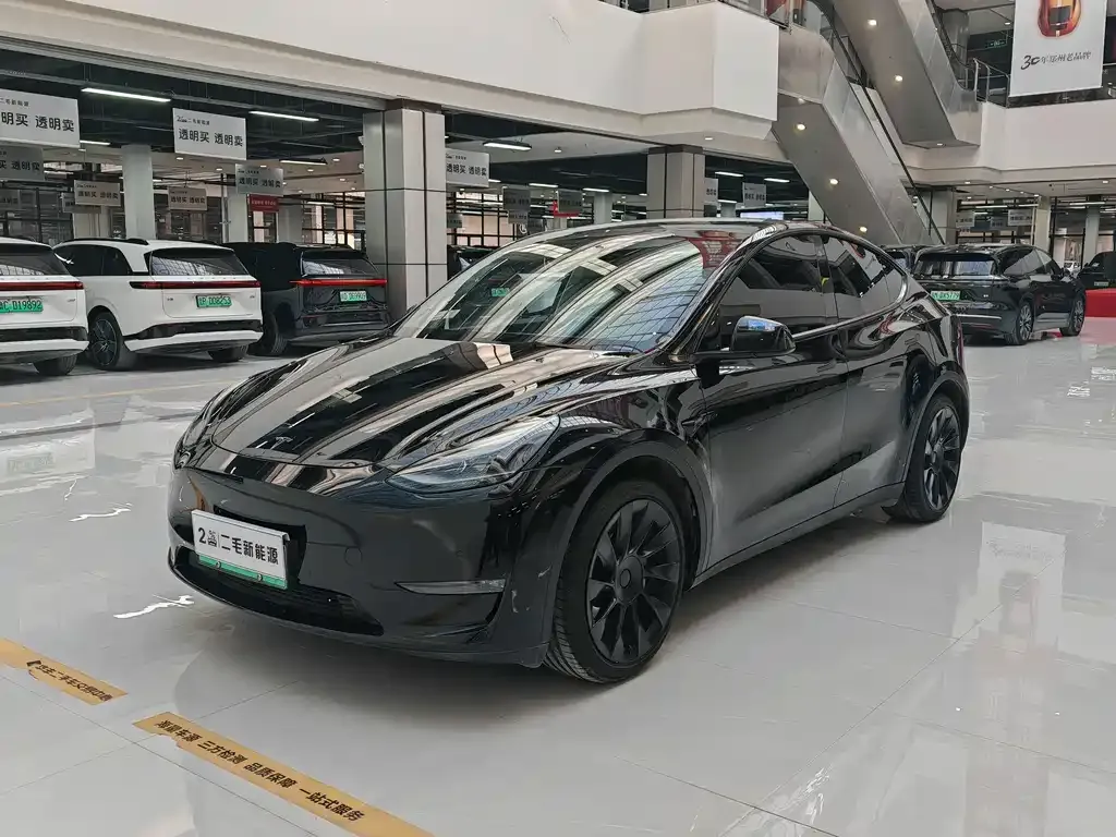 Tesla Model Y — фото 1