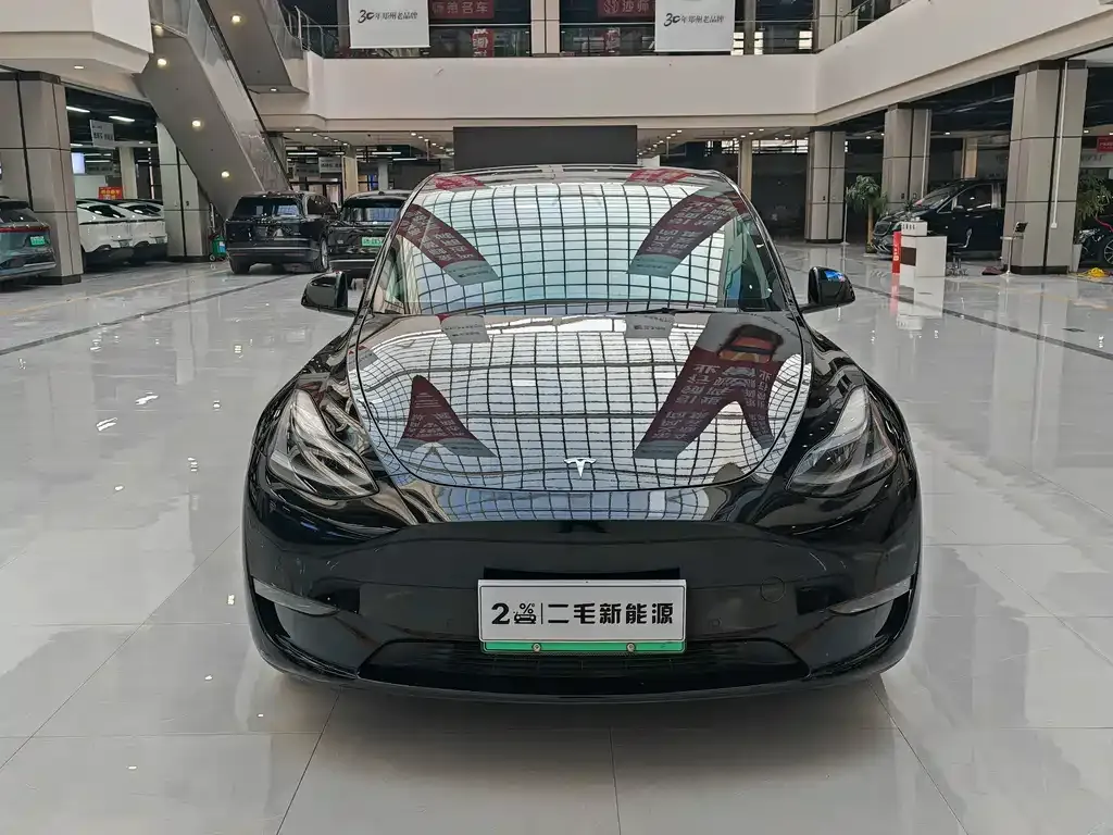 Tesla Model Y — фото 10