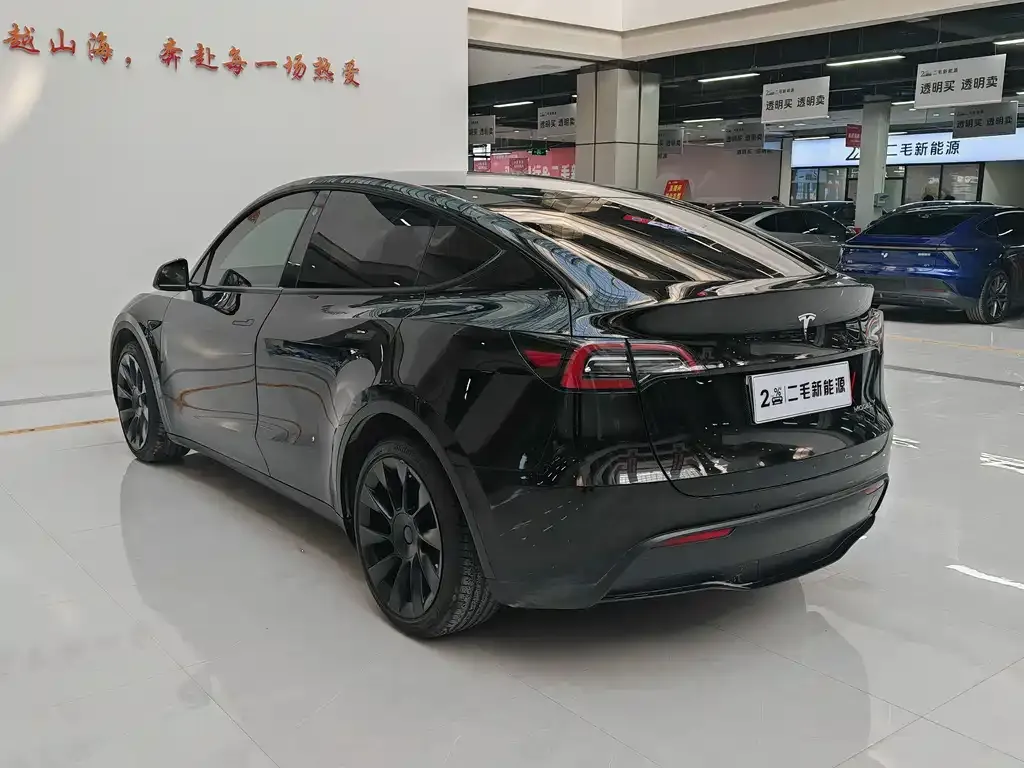 Tesla Model Y — фото 3