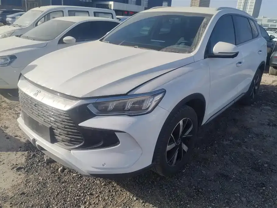 BYD Pro New Energy — фото 1