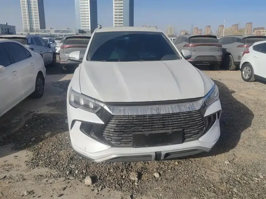 BYD Pro New Energy — фото 8
