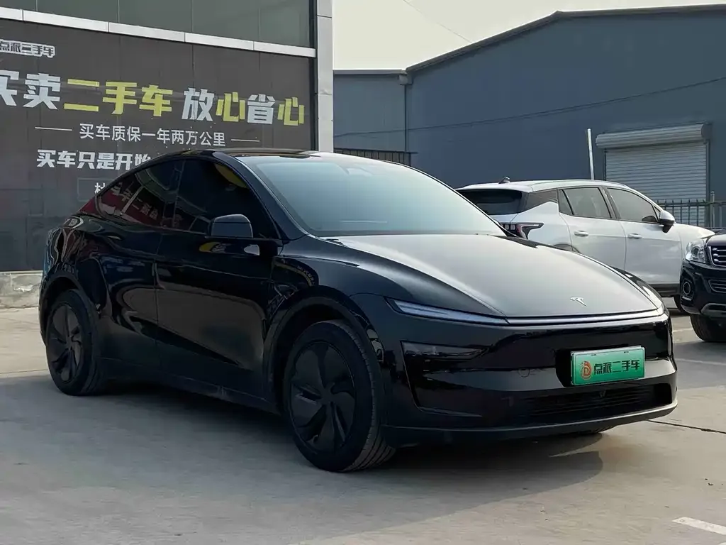Tesla Model Y — фото 3