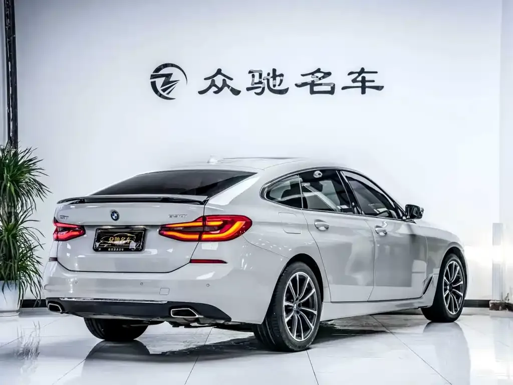 BMW 6 Series GT 2021 из CN, фото 5