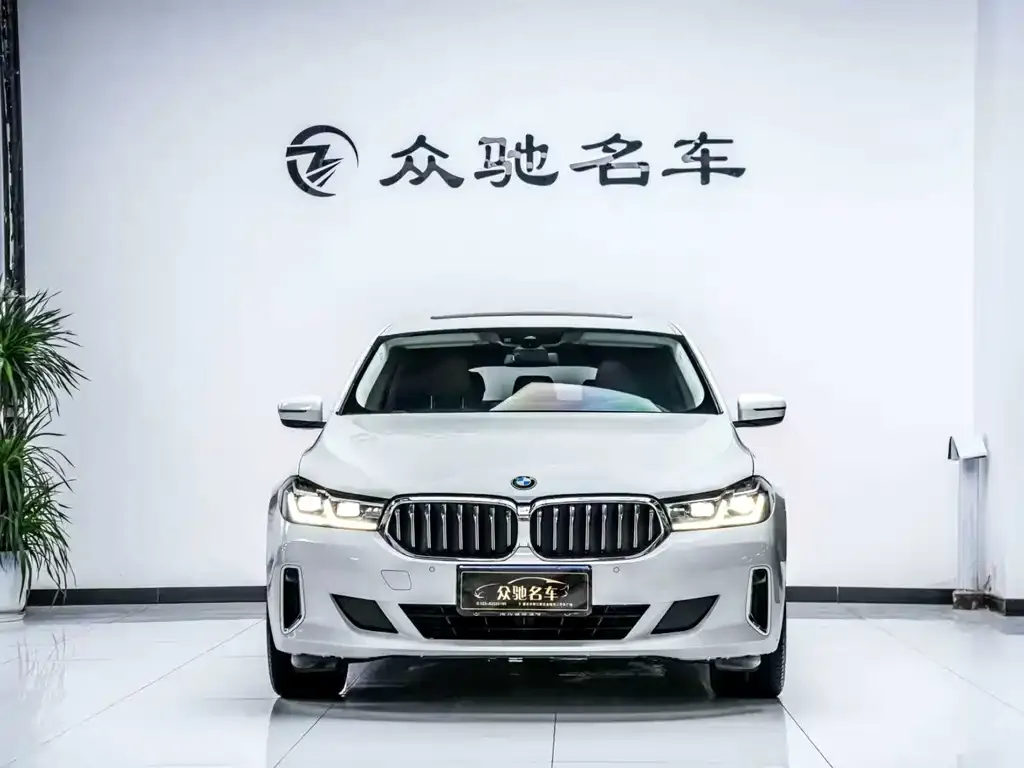 BMW 6 Series GT 2021 из CN, фото 3
